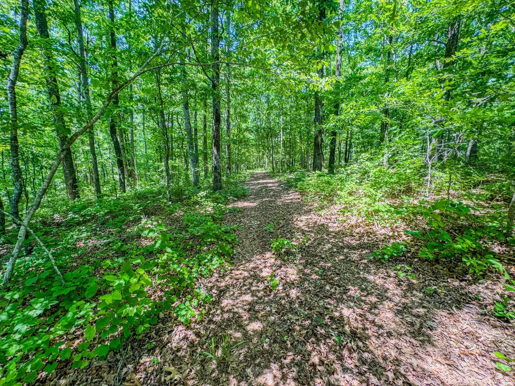 220 Ovilla Lane Lawrenceburg TN 38464