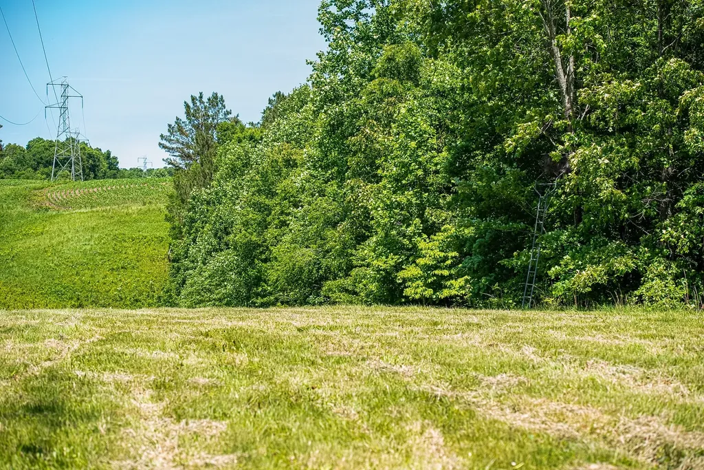 220 Ovilla Lane Lawrenceburg TN 38464