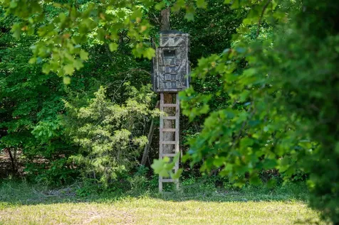 220 Ovilla Lane Lawrenceburg TN 38464
