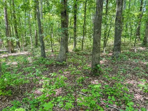 220 Ovilla Lane Lawrenceburg TN 38464