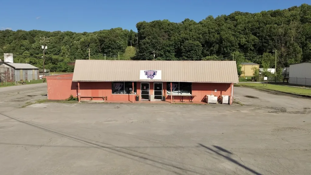 152 Ellis Street Spring City TN 37381