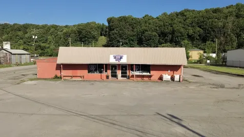 152 Ellis Street Spring City TN 37381