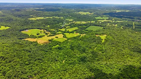 0 Pete Alsup Road Lascassas TN 37085