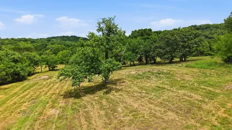0 Pete Alsup Road Lascassas TN 37085