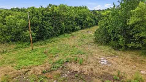 0 Pete Alsup Road Lascassas TN 37085