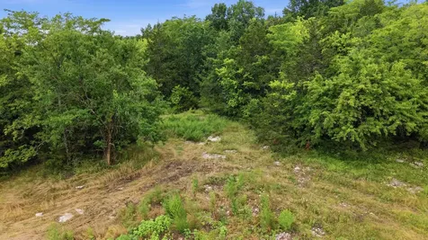 0 Pete Alsup Road Lascassas TN 37085