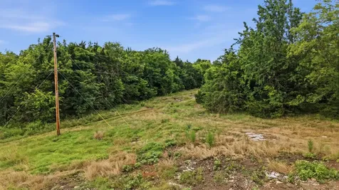 0 Pete Alsup Road Lascassas TN 37085
