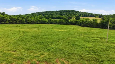 0 Pete Alsup Road Lascassas TN 37085