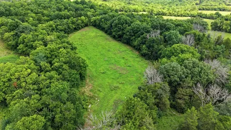 0 Pete Alsup Road Lascassas TN 37085