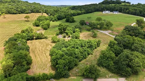 0 Pete Alsup Road Lascassas TN 37085
