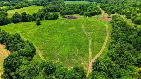 0 Pete Alsup Road Lascassas TN 37085