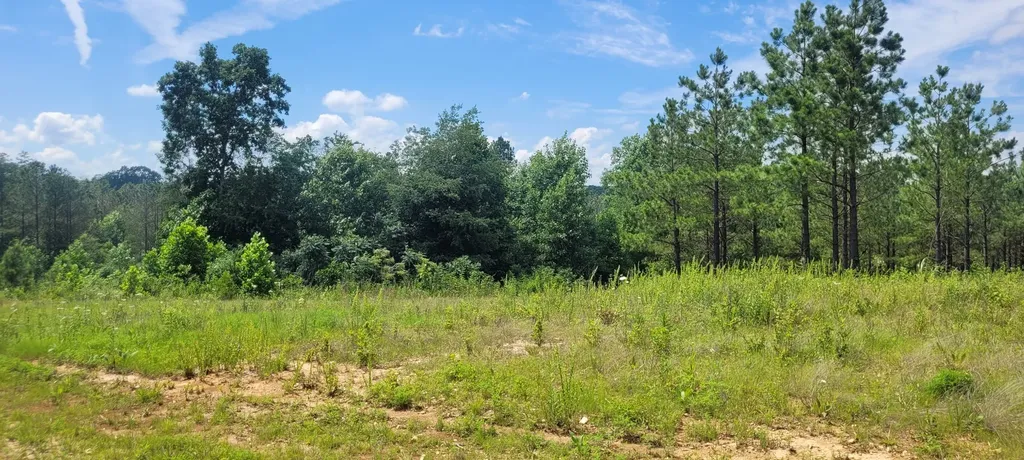 96 Evergreen Drive Dover TN 37058