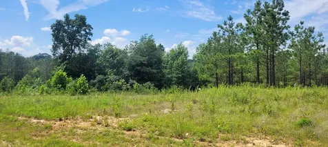 96 Evergreen Drive Dover TN 37058