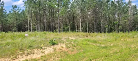 96 Evergreen Drive Dover TN 37058