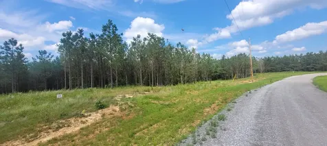 96 Evergreen Drive Dover TN 37058