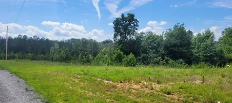 96 Evergreen Drive Dover TN 37058