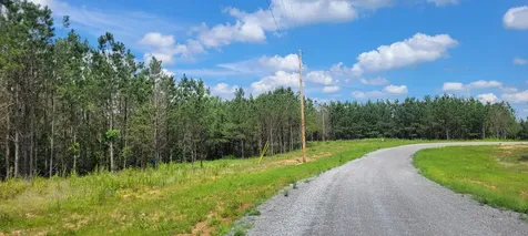 96 Evergreen Drive Dover TN 37058
