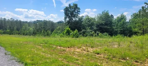 96 Evergreen Drive Dover TN 37058