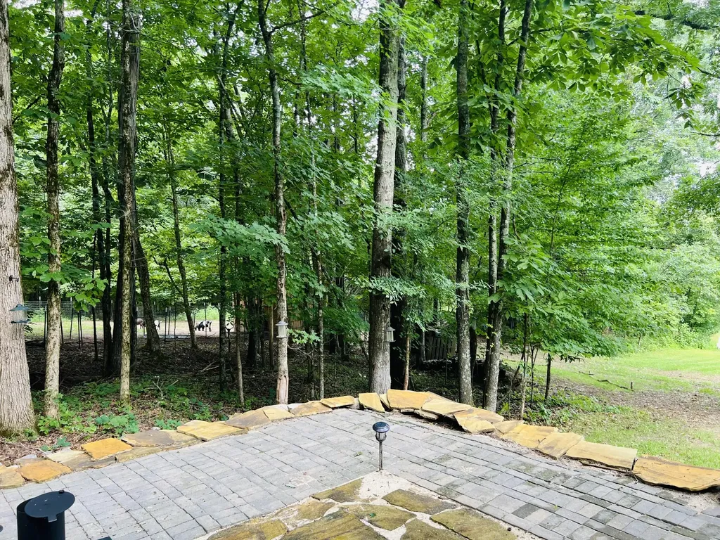 318 Molino Road Fayetteville TN 37334