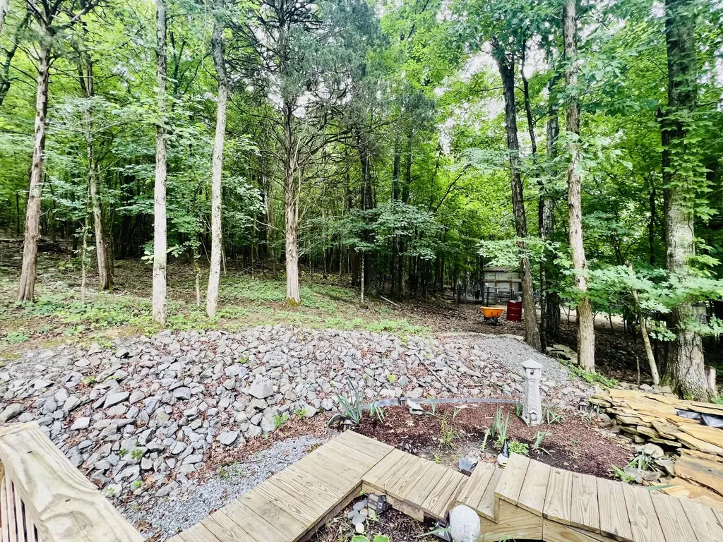 318 Molino Road Fayetteville TN 37334