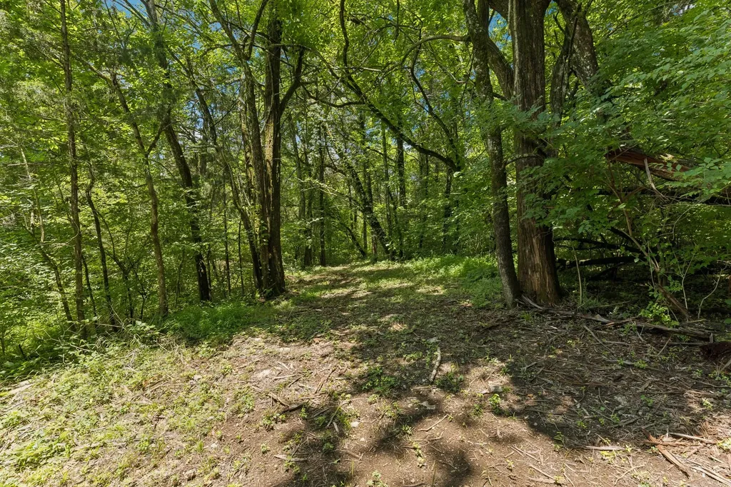 1495 Jacobs Road Columbia TN 38401