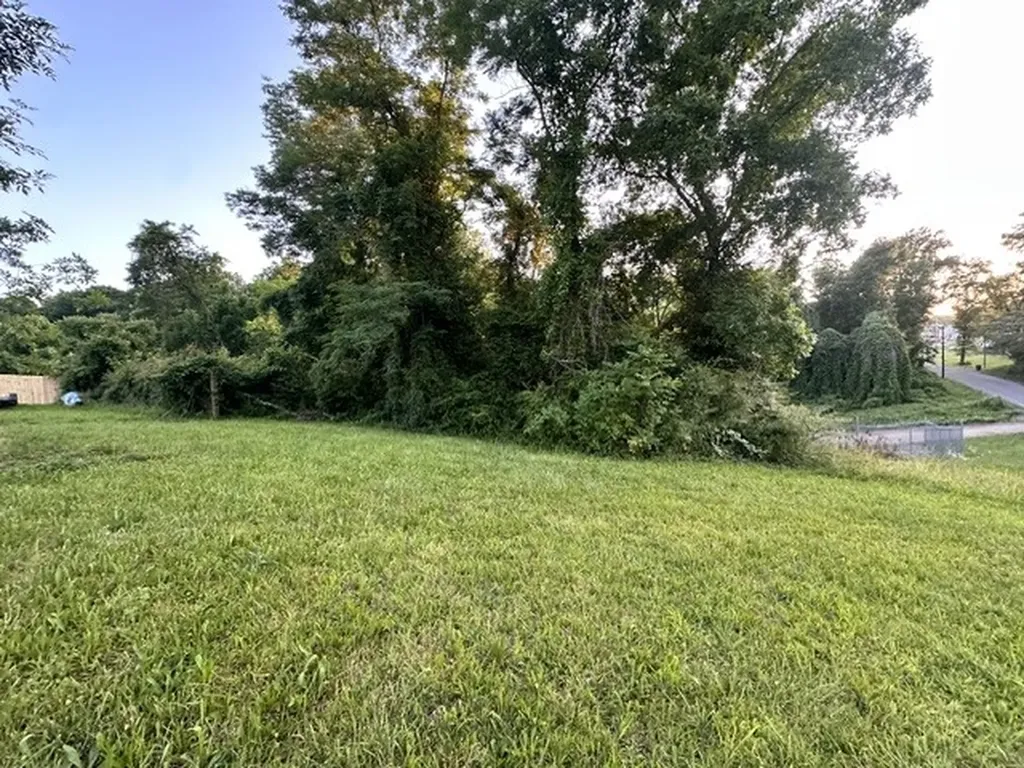 0 Park Street White Bluff TN 37187