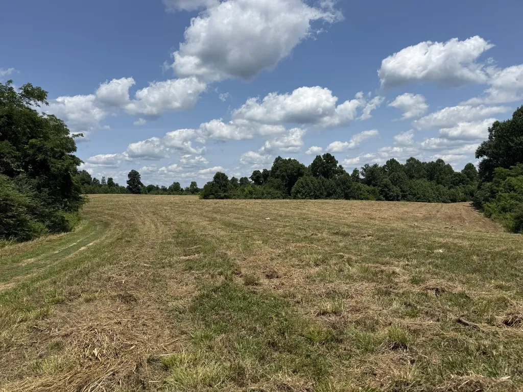 3225 S Grundy Quarles Highway Gainesboro TN 38562