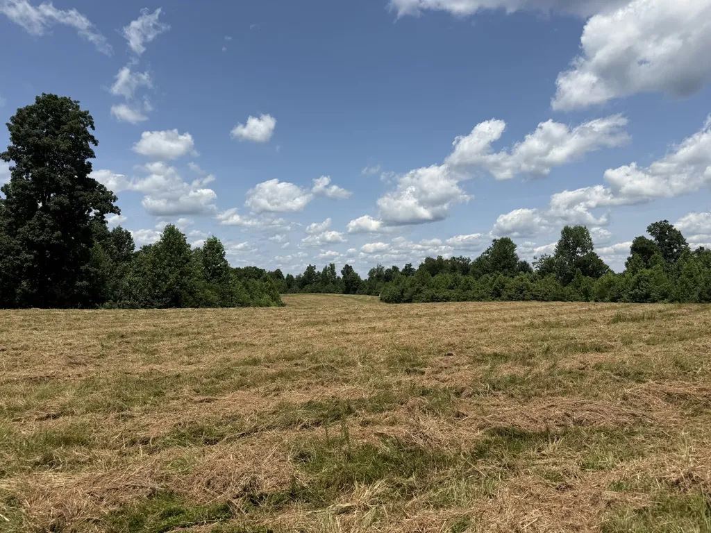 3225 S Grundy Quarles Highway Gainesboro TN 38562
