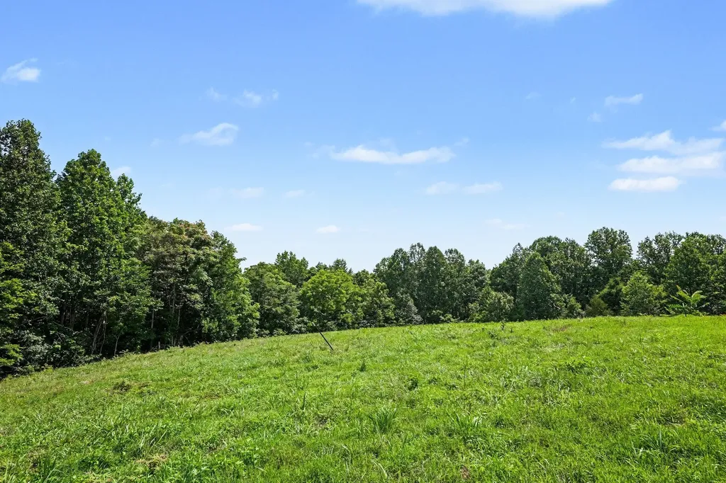 609 Stacey Road White Bluff TN 37187
