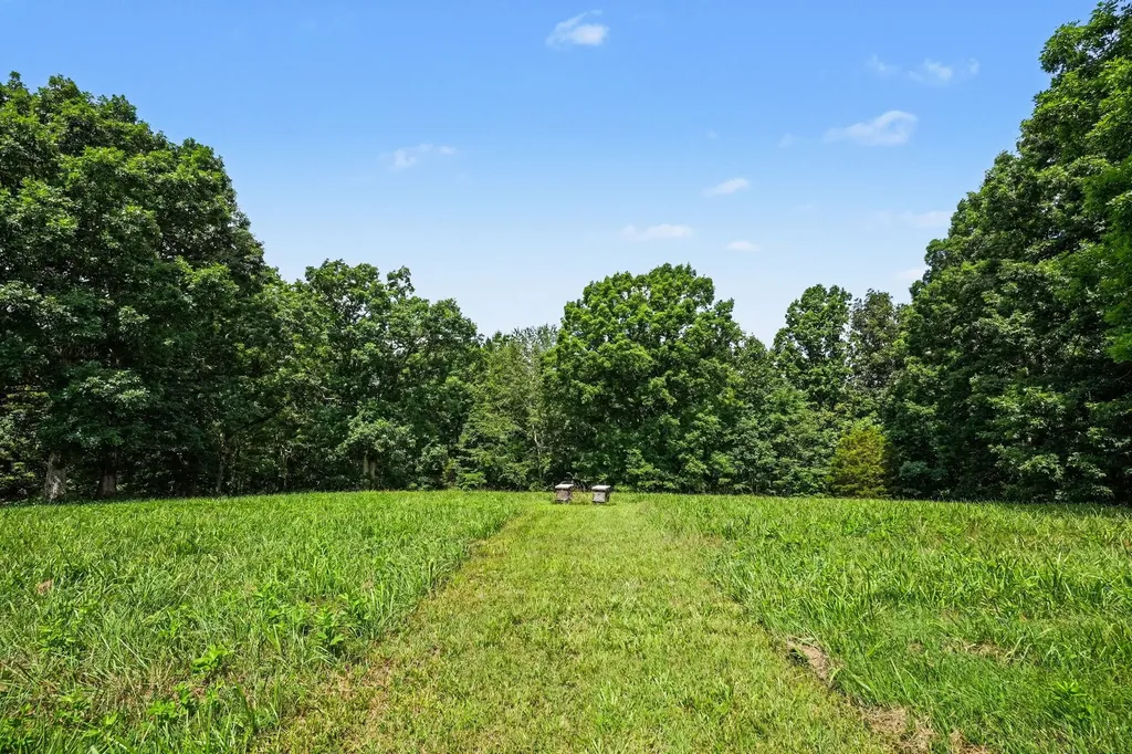 609 Stacey Road White Bluff TN 37187