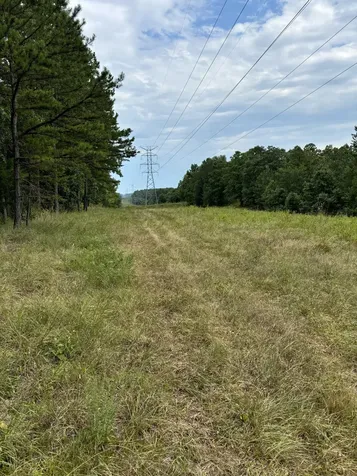 257 Saddlebrook Drive Hohenwald TN 38462