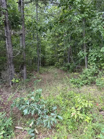 257 Saddlebrook Drive Hohenwald TN 38462