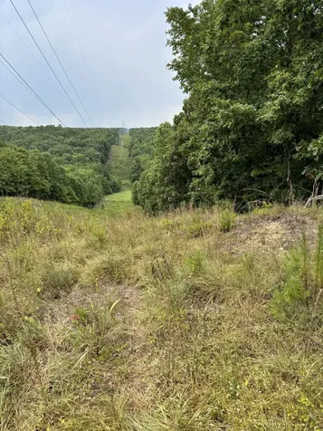 257 Saddlebrook Drive Hohenwald TN 38462