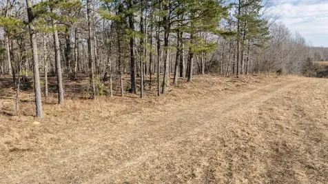257 Saddlebrook Drive Hohenwald TN 38462