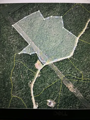 257 Saddlebrook Drive Hohenwald TN 38462