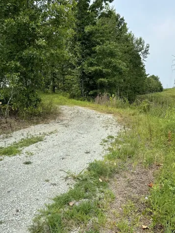 257 Saddlebrook Drive Hohenwald TN 38462