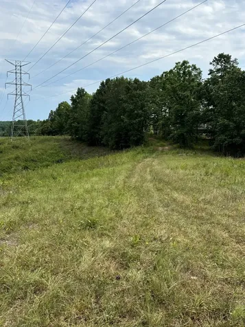 257 Saddlebrook Drive Hohenwald TN 38462