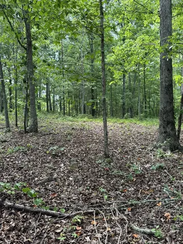 257 Saddlebrook Drive Hohenwald TN 38462