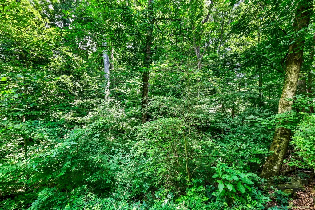 429 Winding Way Road Clarksville TN 37043