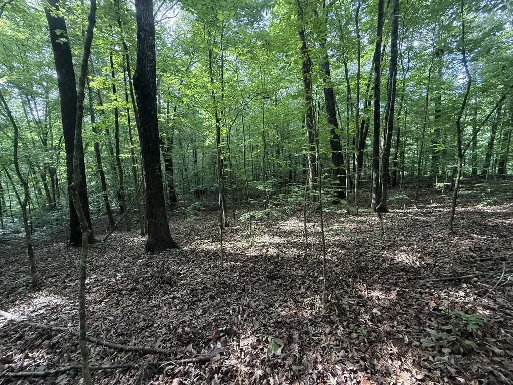 0 Caney Creek Road Stewart TN 37175