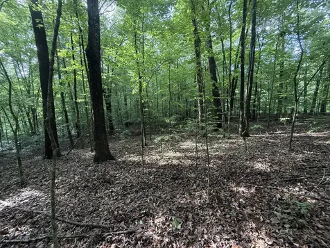 0 Caney Creek Road Stewart TN 37175