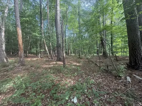 0 Caney Creek Road Stewart TN 37175