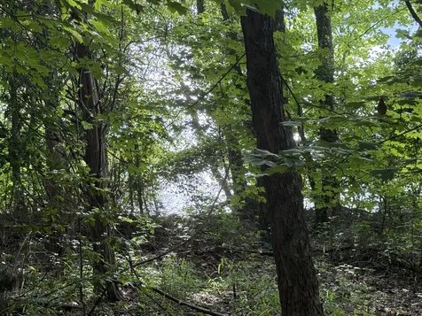 0 Caney Creek Road Stewart TN 37175