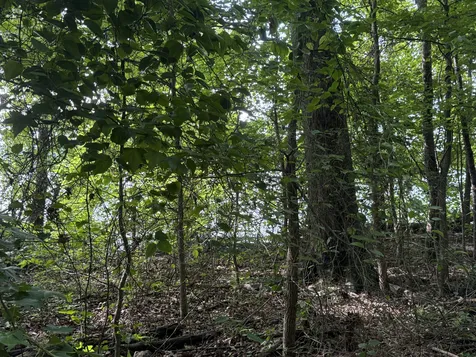 0 Caney Creek Road Stewart TN 37175