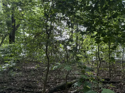0 Caney Creek Road Stewart TN 37175