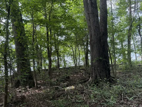 0 Caney Creek Road Stewart TN 37175