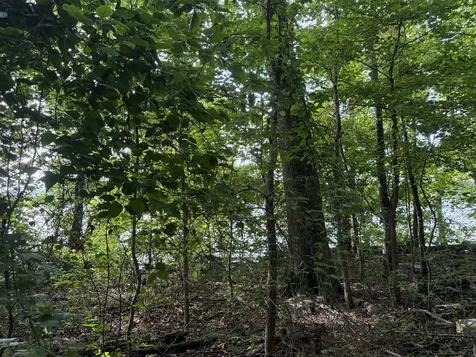 0 Caney Creek Road Stewart TN 37175