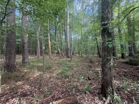 0 Caney Creek Road Stewart TN 37175