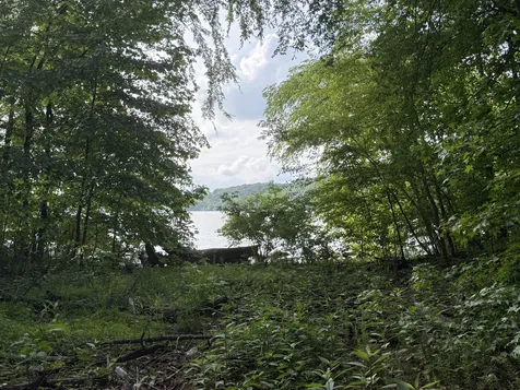 0 Caney Creek Road Stewart TN 37175