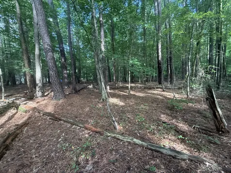 0 Caney Creek Road Stewart TN 37175